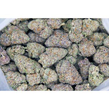 Red Bullz AAA bag bgbso