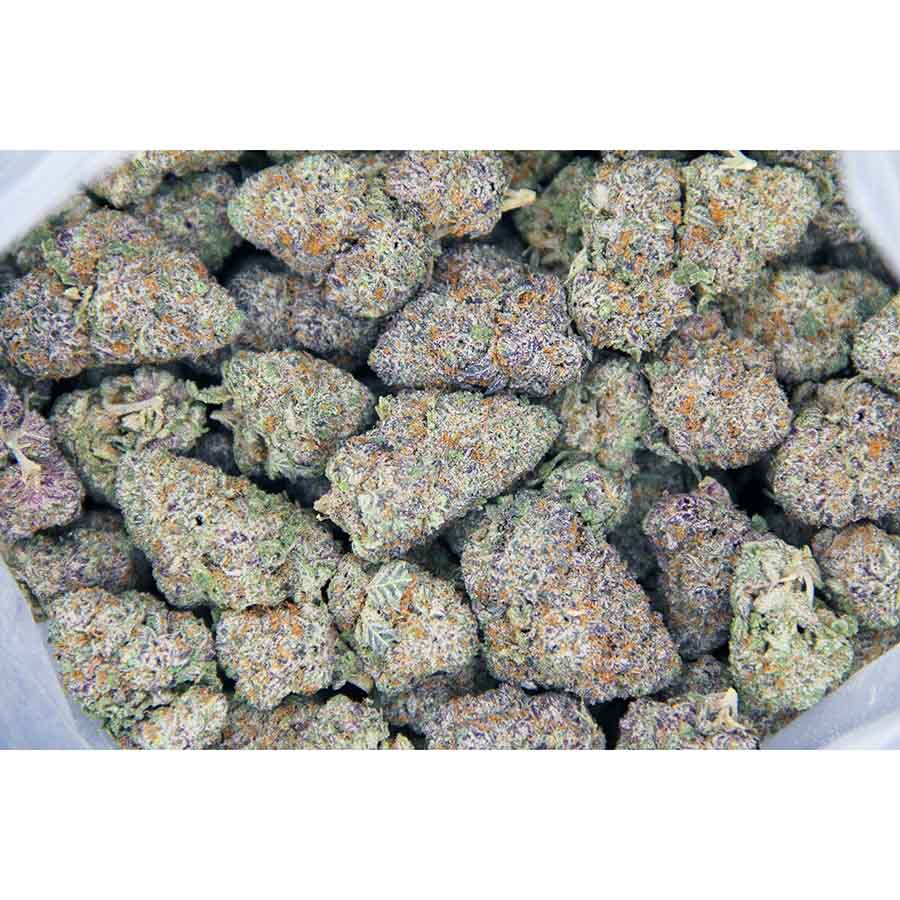 Red Bullz AAA bag bgbso