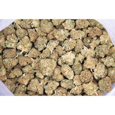 Sour Kush (mediums) AA (1)