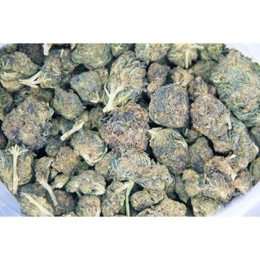 The Doctor AA bag bgbso