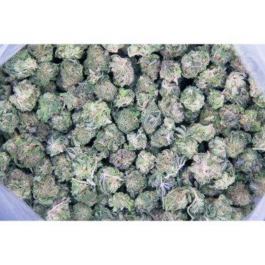 Hidden Pastry (smalls) AAA bag bgbso