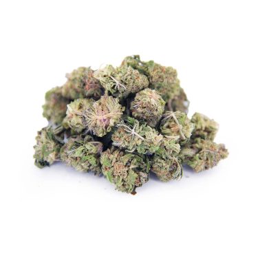 Hidden Pastry (smalls) AAA bgbso