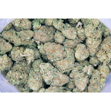 Juicy Fruit AAA bag bgbso