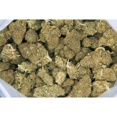 Bubblegum Kush AA (1)