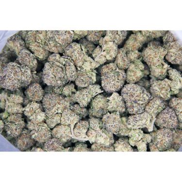 Double Do Si Dos AAA bag bgbso