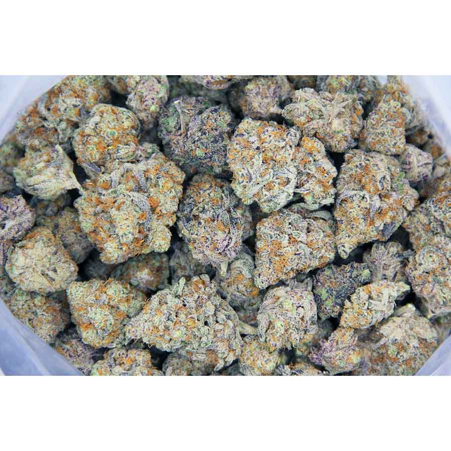 La Bomba AAA bag bgbso