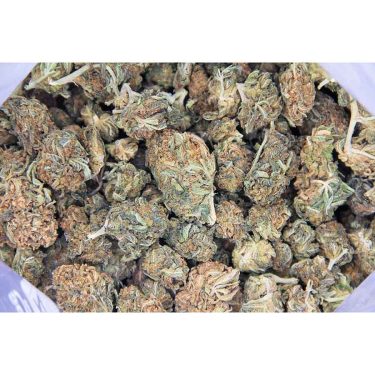 Mango Haze AA bag bgbso