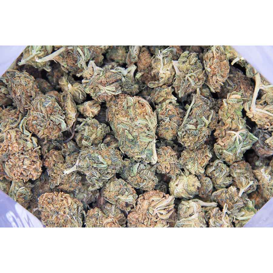 Mango Haze AA bag bgbso