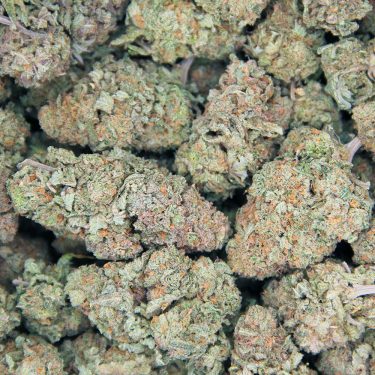 Tutankhamon AAA bag bgbso