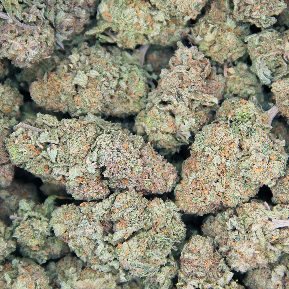 Tutankhamon AAA bag bgbso