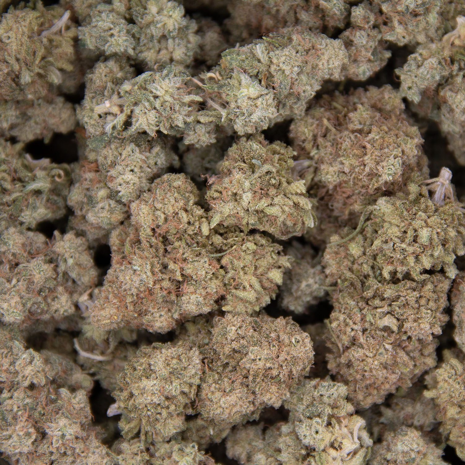 Maui Wowie AA+ (1) copy BAG