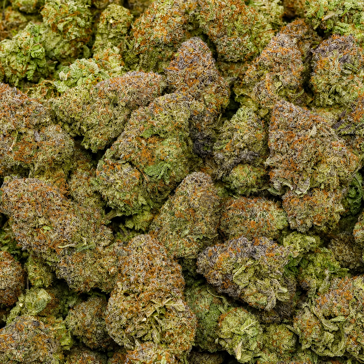 Platinum Kush AAAA (crafts) - Image 2