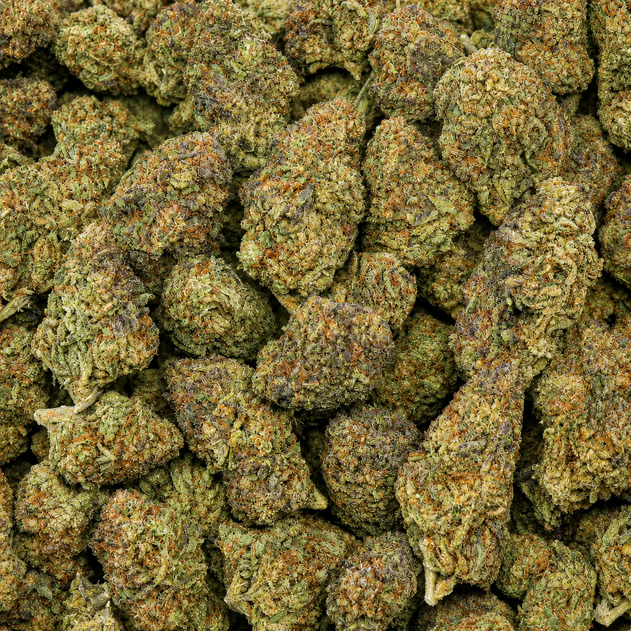 Lemon Haze AA - Image 2