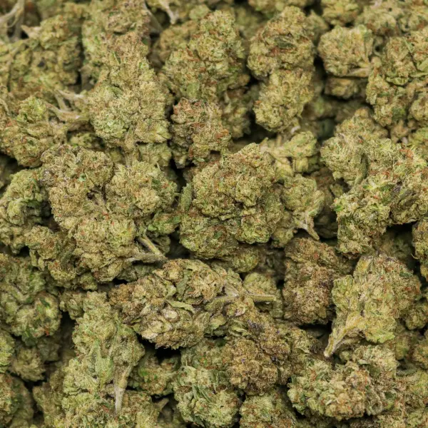 Lemon Cherry Gelato AAA - Image 2