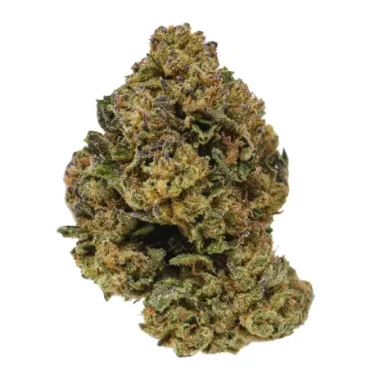 Lemon Cherry Gelato AAA
