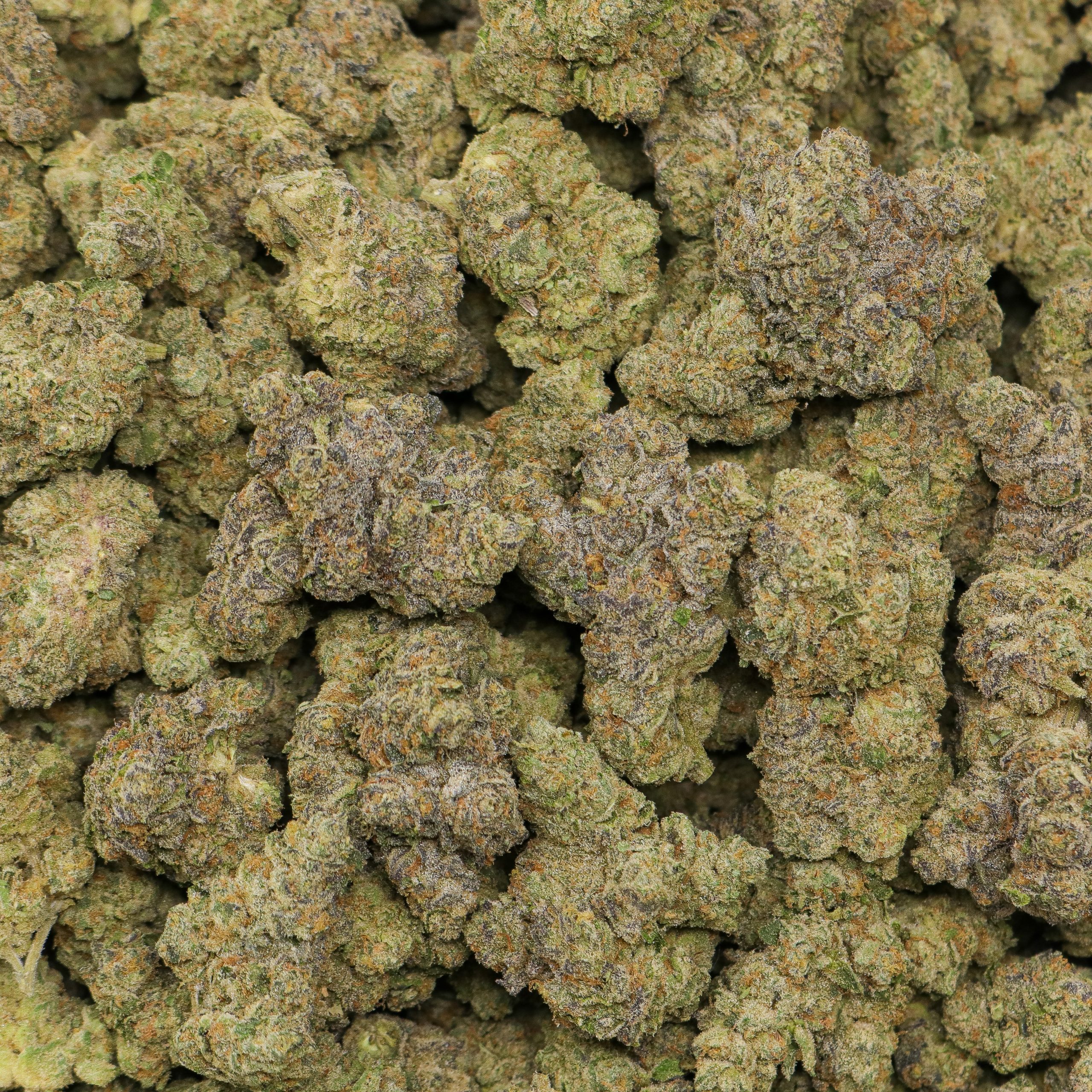 Lemonhead AA - Image 2