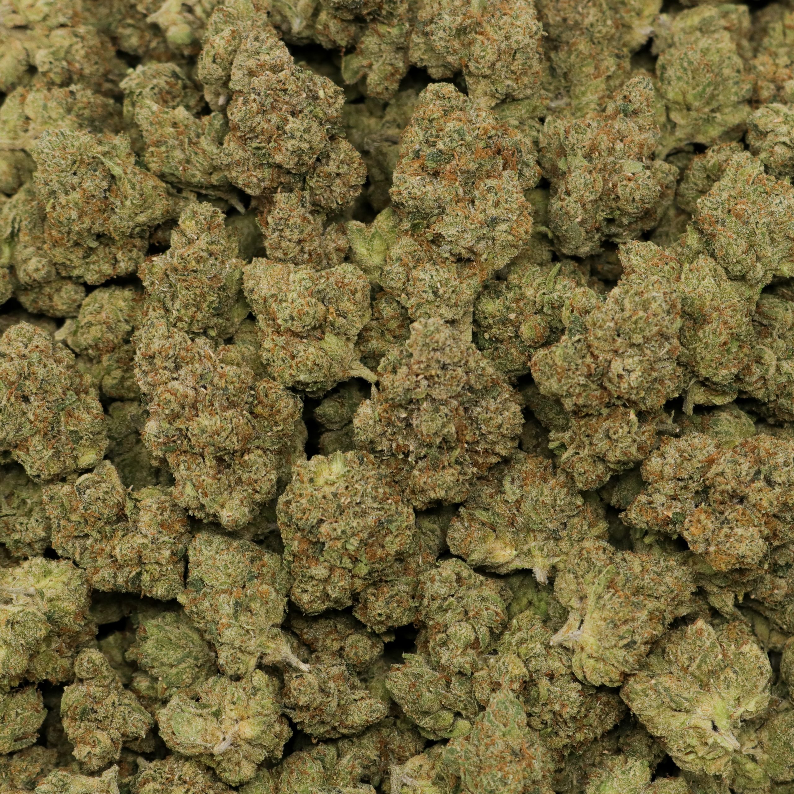 True OG AAAA (crafts) - Image 2