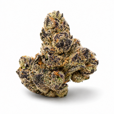 Bubblegum Gusher